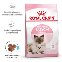 Dry food for kittens up to 4 months
