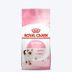 Nutrient-rich food for kittens
