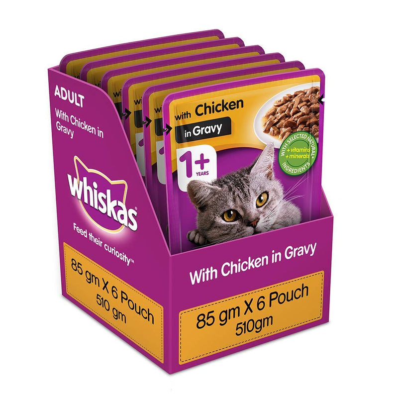 Whiskas Kitten Wet Cat Food Chicken in Gravy