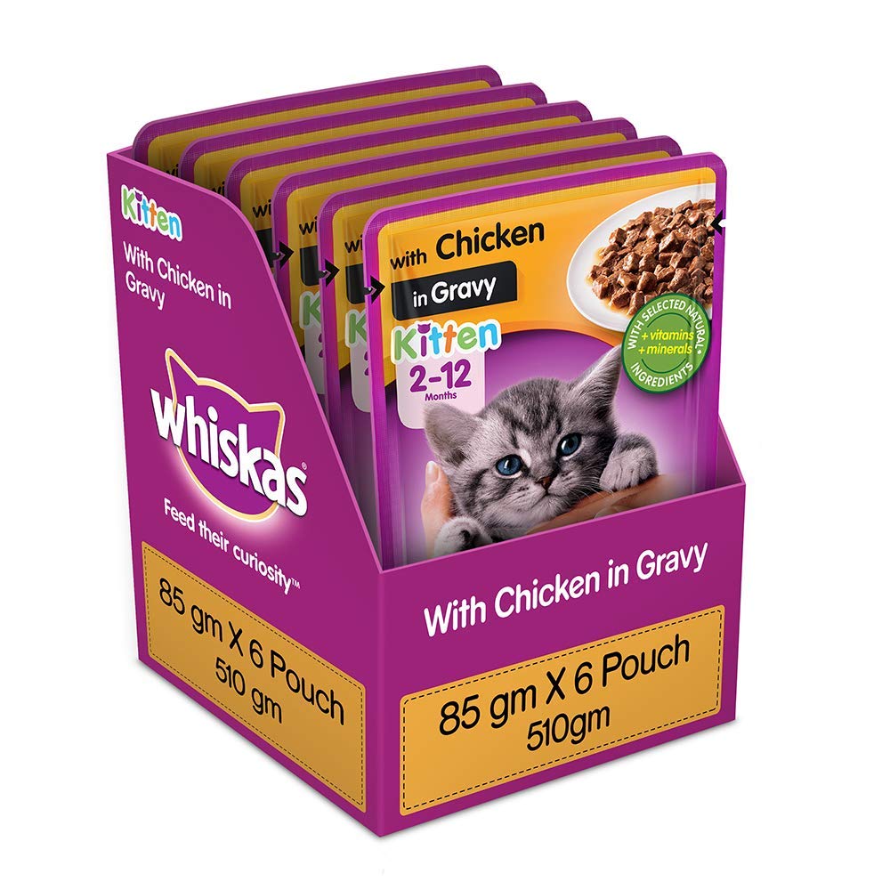 Premium wet food for kittens
