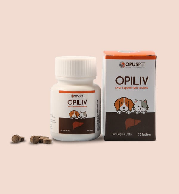 Liver Supplement for Dogs and Cats