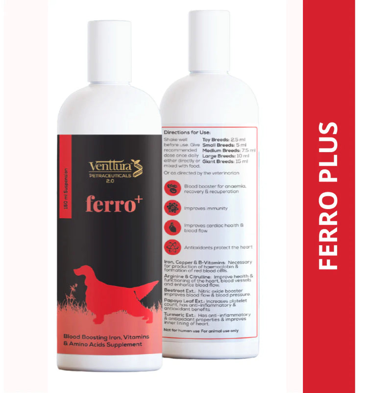 Venttura Ferro Plus Iron Supplement Syrup for Dogs – Supports Healthy Red Blood Cells & Energy Levels