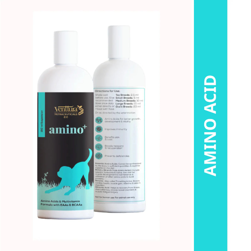 Venttura Amino Plus Syrup for Dogs – Supports Muscle Health & Recovery