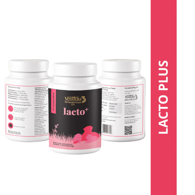 Venttura LactoPlus Milk – Probiotic-Enriched Milk for Everyday Enjoyment