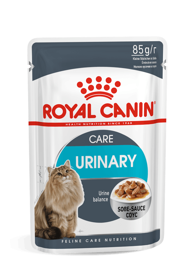 Royal Canin Urinary Care Adult Cat Wet Food