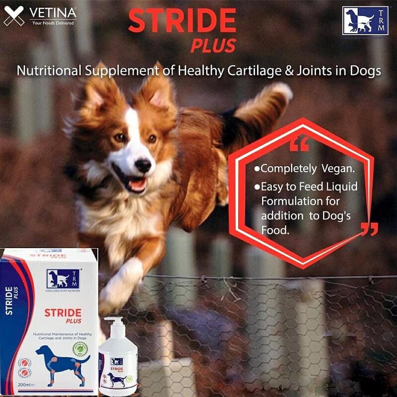 Stride Plus Mobility for Joint Health of Dogs, 200ml