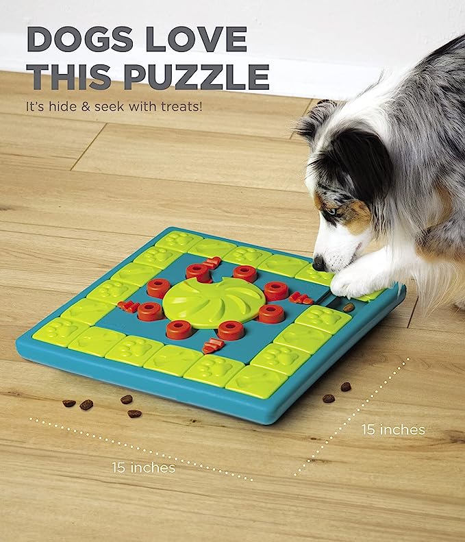 Outward Hound Nina Ottosson MultiPuzzle Interactive Dog Treat Puzzle Toy, Expert Level