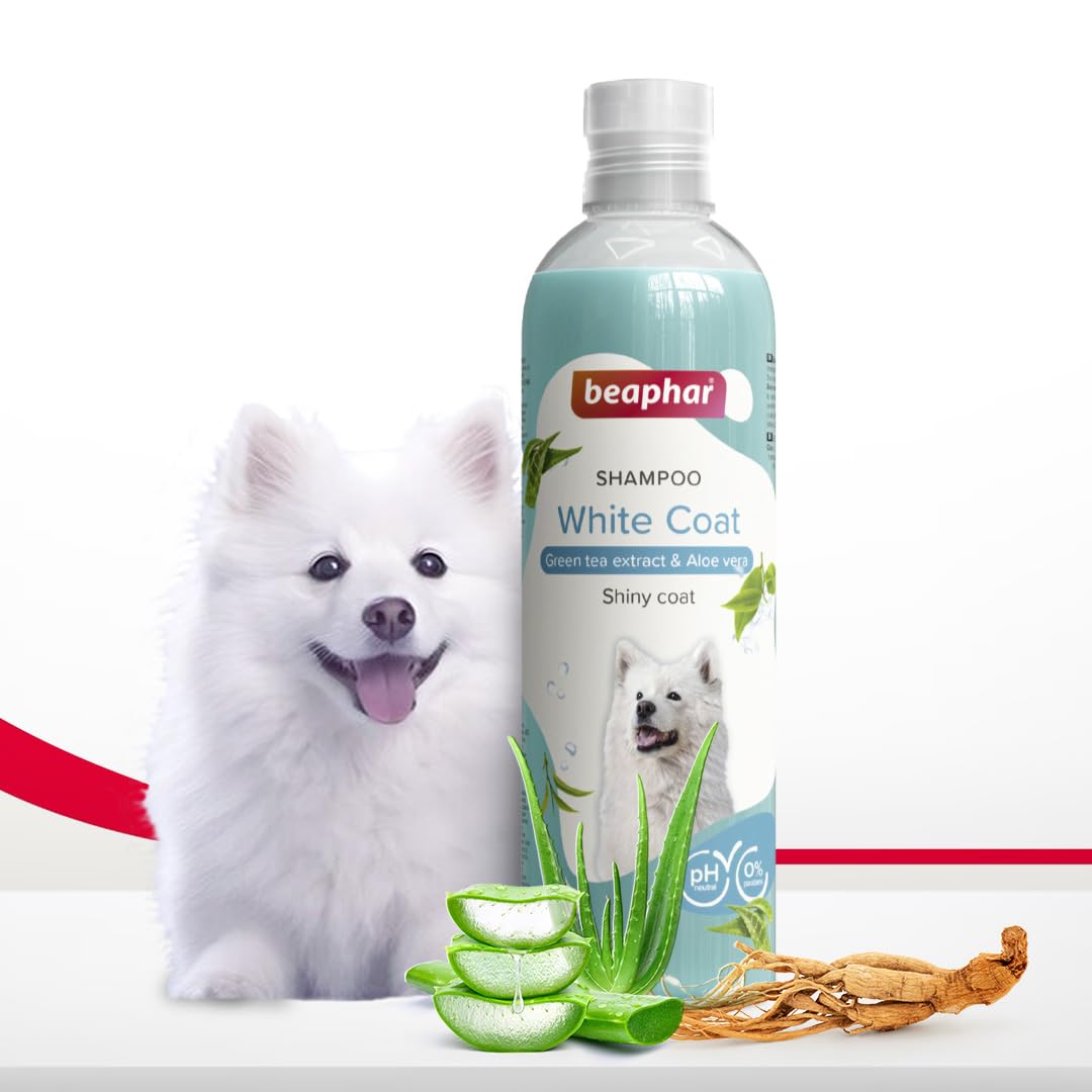 Dog shampoo for bright white coat
