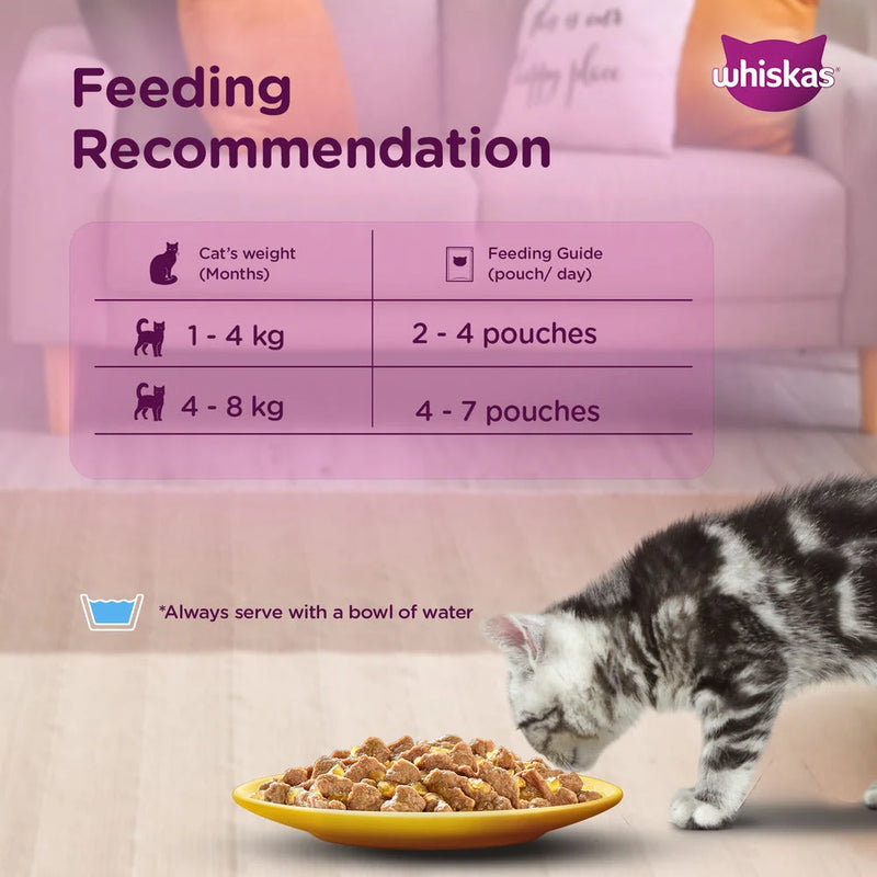 Whiskas Kitten Wet Cat Food Salmon in Gravy (Newly Launched)