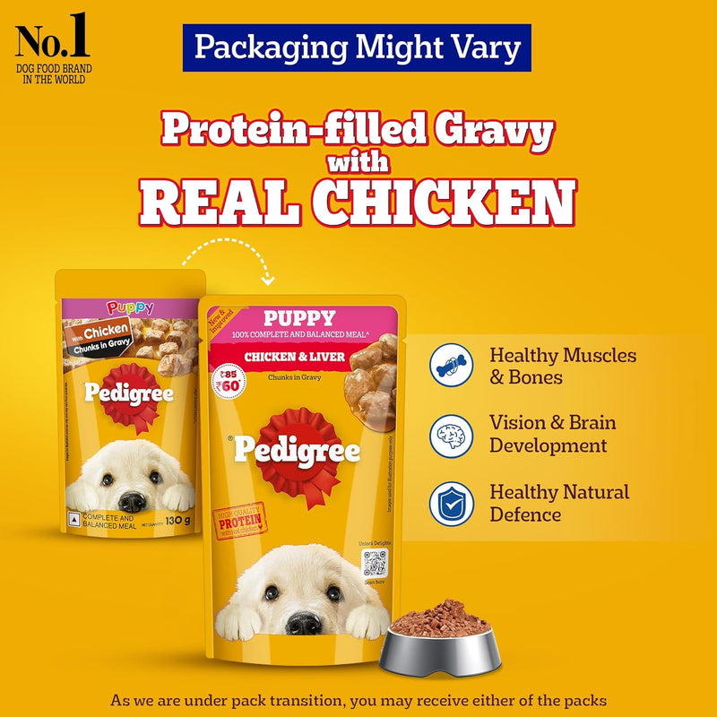 Healthy Puppy Meals