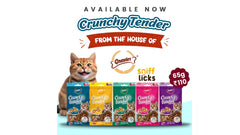 Chicken & Milk Flavour Cat Snacks
