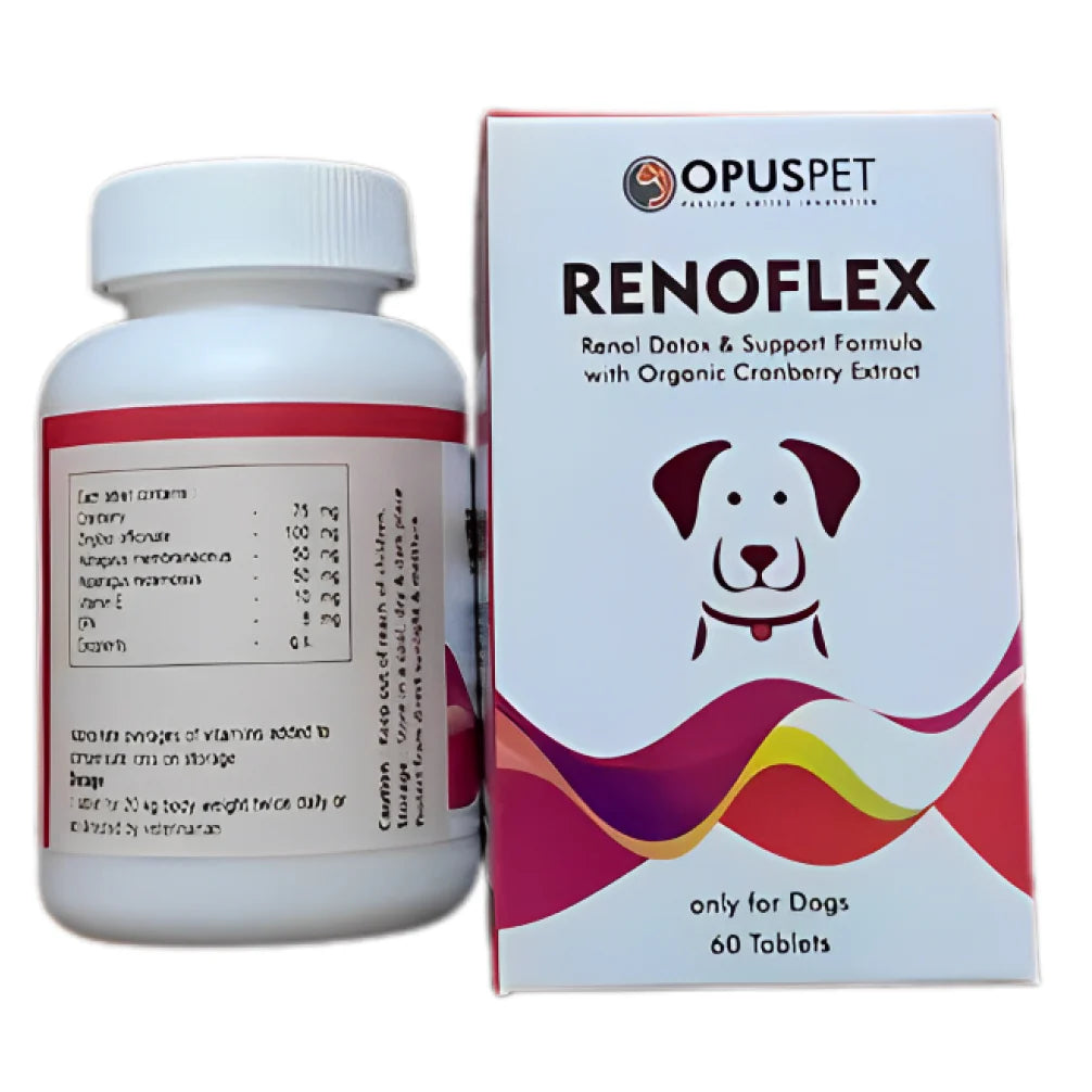 Renal Care Supplement for Dogs