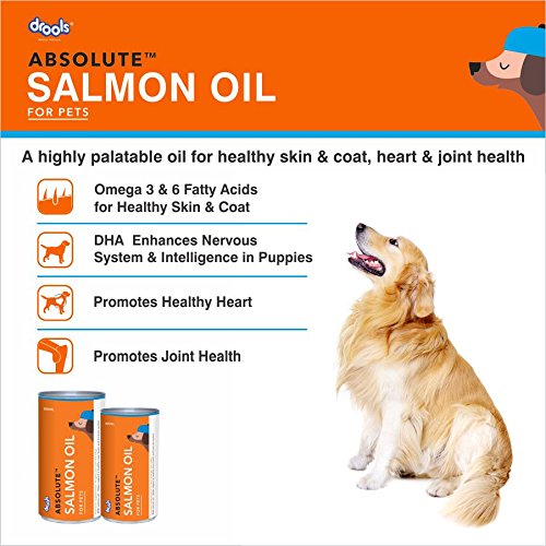 Salmon oil supplement for dogs
