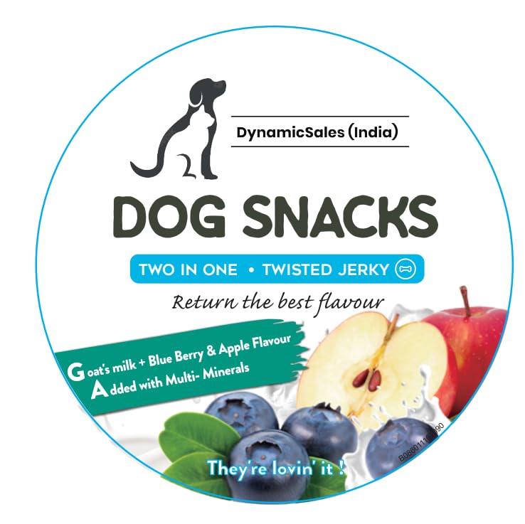 Healthy dog snacks with blueberry
