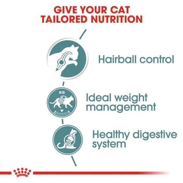 Royal Canin Hairball Care Wet Cat Food