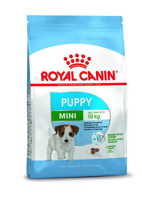 Puppy Kibble for Easy Chewing
