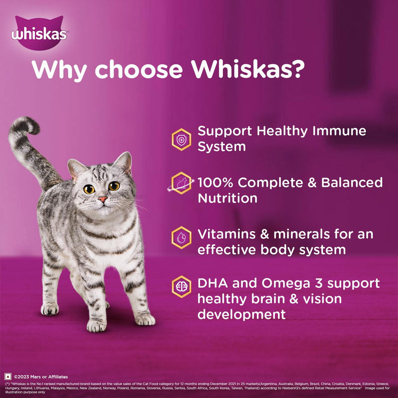 Whiskas Kitten Wet Cat Food Mackerel (Newly Launched)