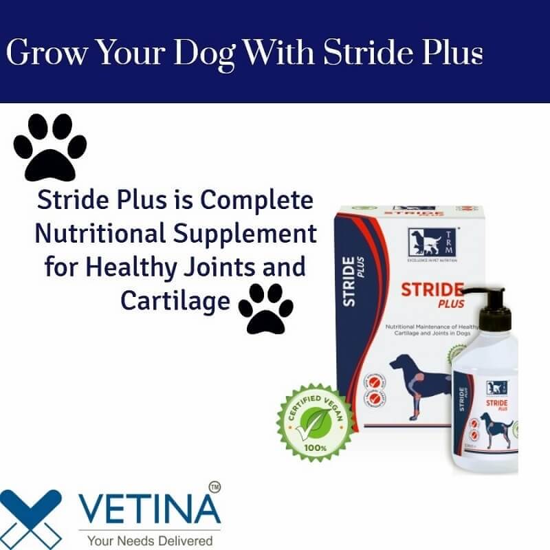 Stride Plus Mobility for Joint Health of Dogs, 200ml