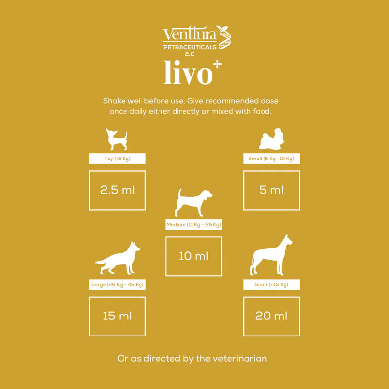 Venttura Livo Plus Liver Supplement Syrup for Dogs