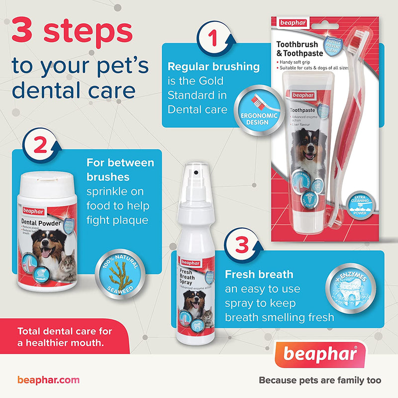 Beaphar Toothpaste for Dogs and Cats, 100 g