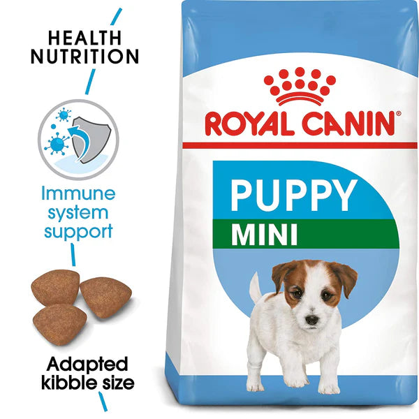 Energy-Rich Food for Growing Puppies
