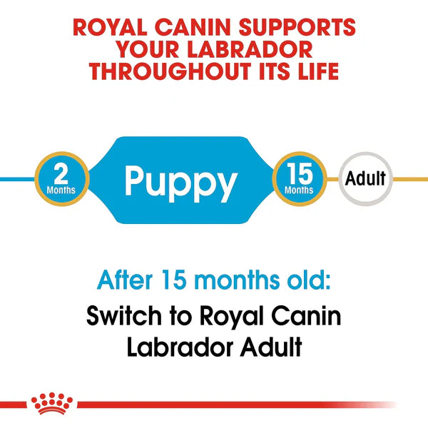 Royal Canin Labrador Retriever Puppy Dry Dog Food,  12kg