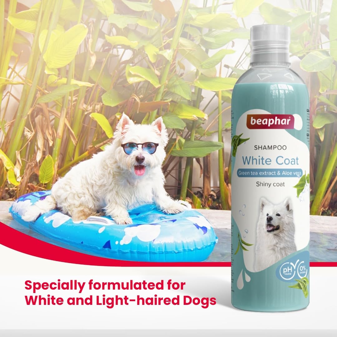 Best shampoo for white dog fur
