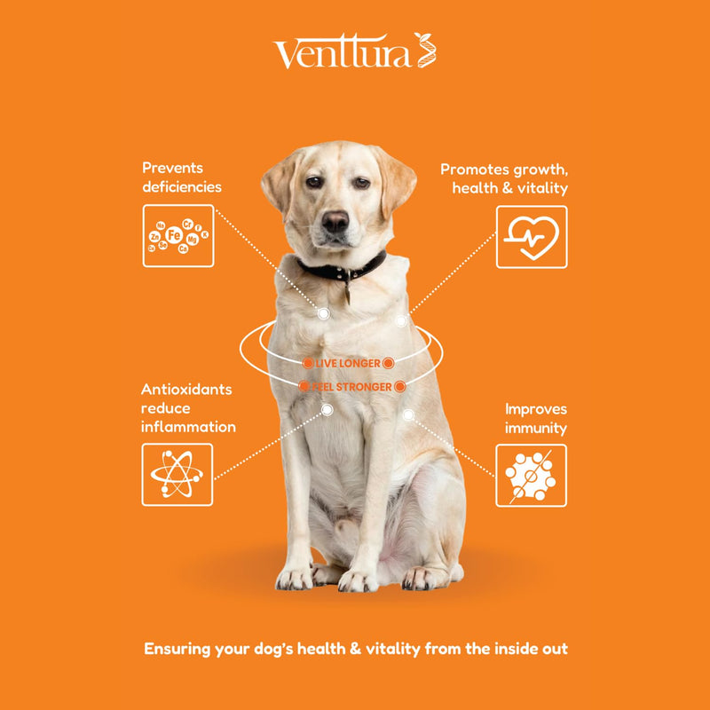 Venttura Nutri Plus Pro Multi-Vitamin Chewable Supplement for Dogs – Supports Overall Health, Energy & Vitality