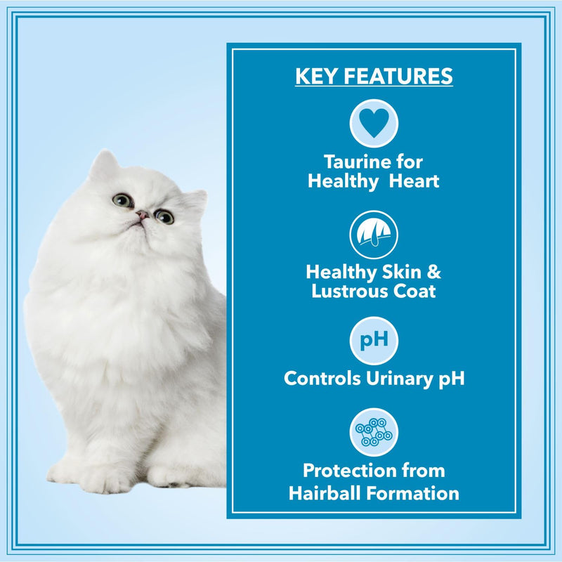 Digestive health Persian cat food
