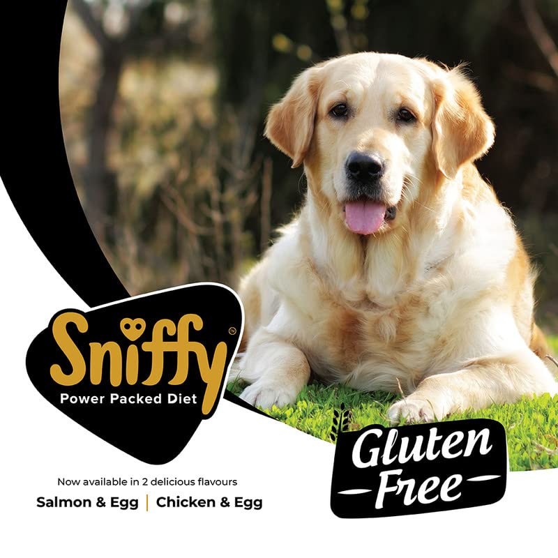 Sniffy Salmon & Egg Dog Food
