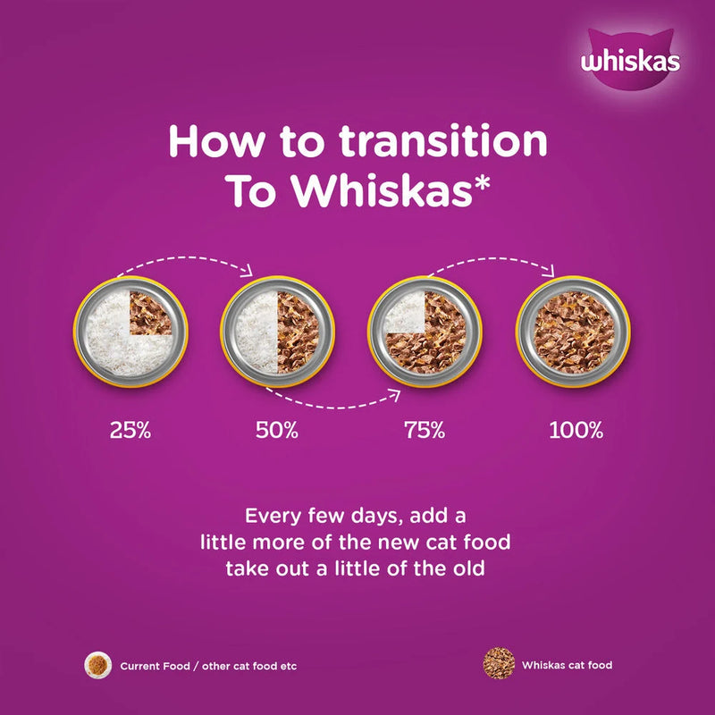 Whiskas Kitten Wet Cat Food Salmon in Gravy (Newly Launched)