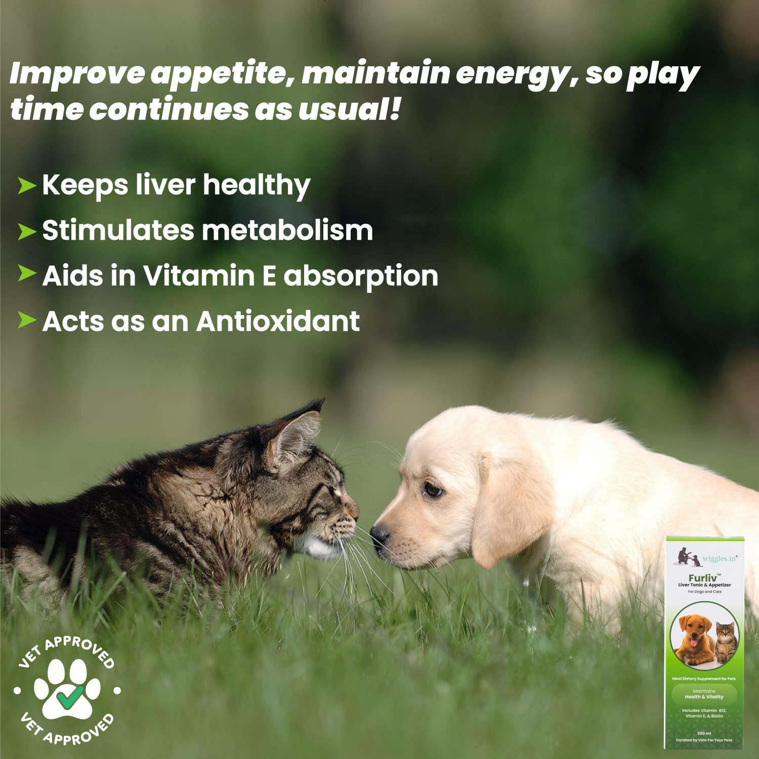 Wiggles Furliv Liver Support Tonic for Pets – 200 ml.