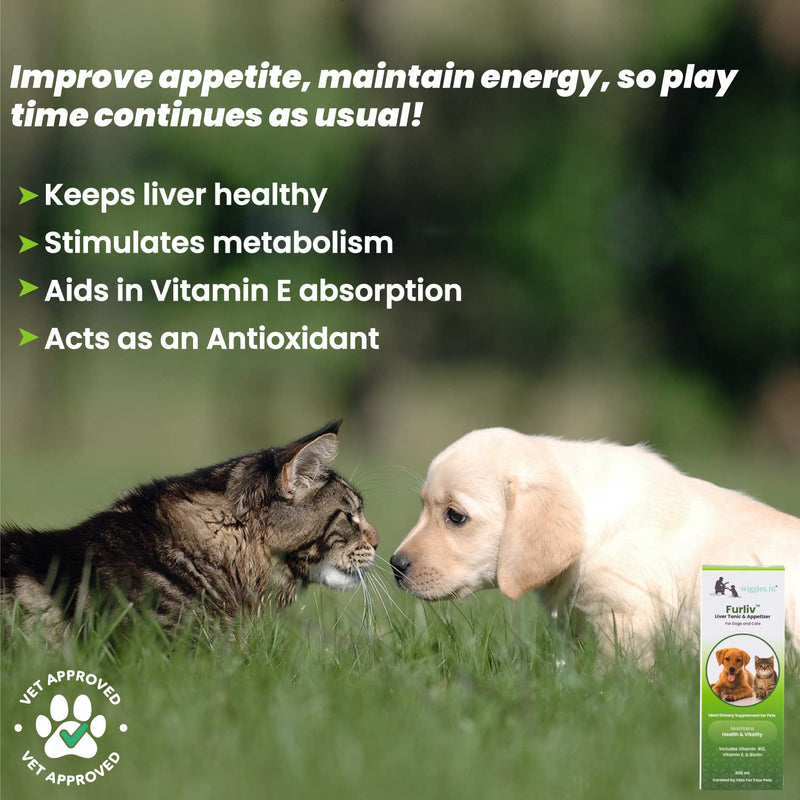 Furliv Liver Tonic for Dogs Cats Appetite Booster - Multivitamin Appetizer Pet Syrup