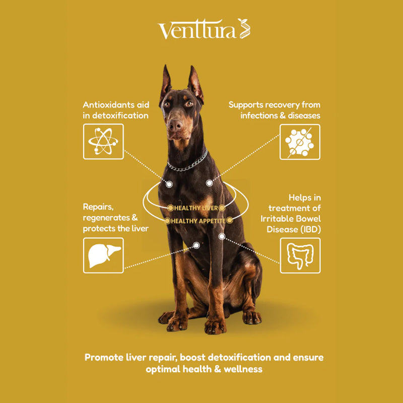 Venttura Livo Plus Liver Supplement Syrup for Dogs