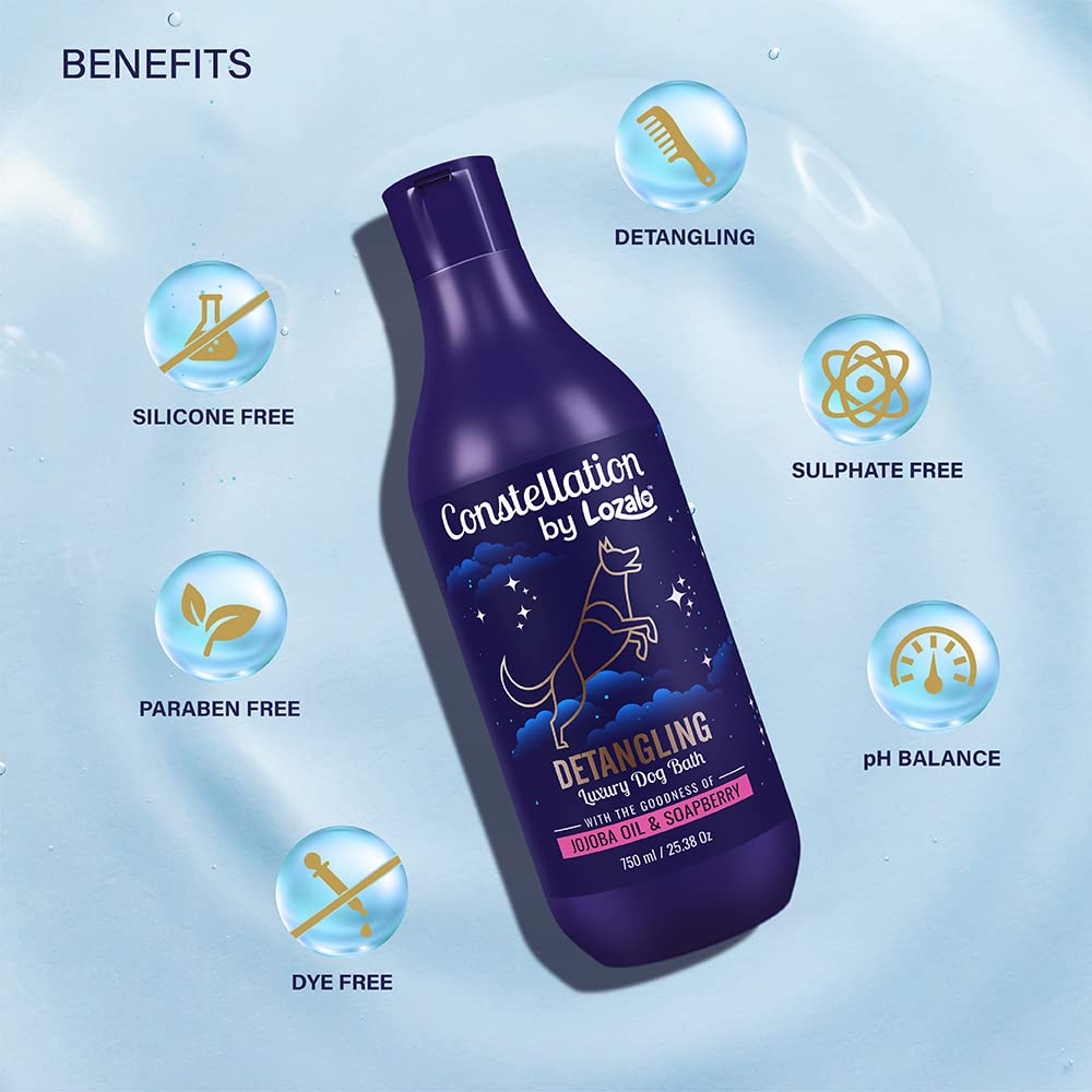 Dog Grooming Shampoo for Mats