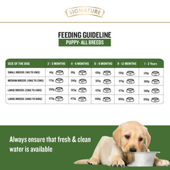 Grain-free puppy food with chicken
