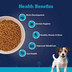 High-protein puppy food
