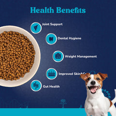 Superfood Dog Food
