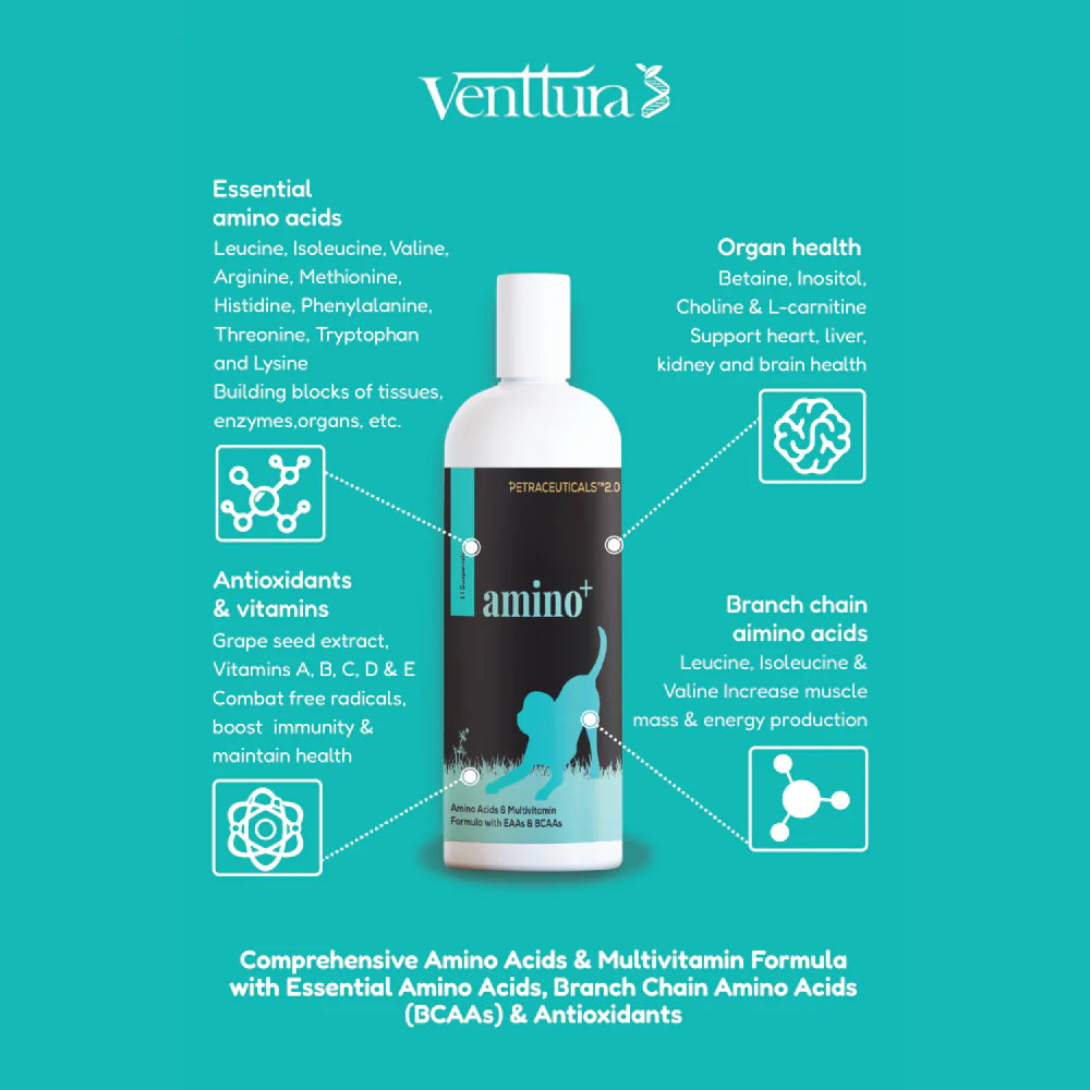 Pet health supplement amino acids
