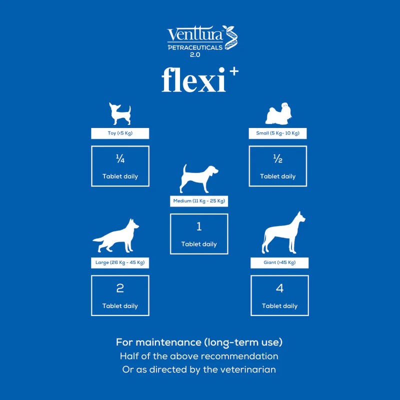 Venttura Flexi Plus Hip & Joint Chewable Supplement for Dogs – Supports Joint Health & Mobility