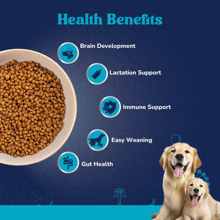 High-Protein Starter Dog Food
