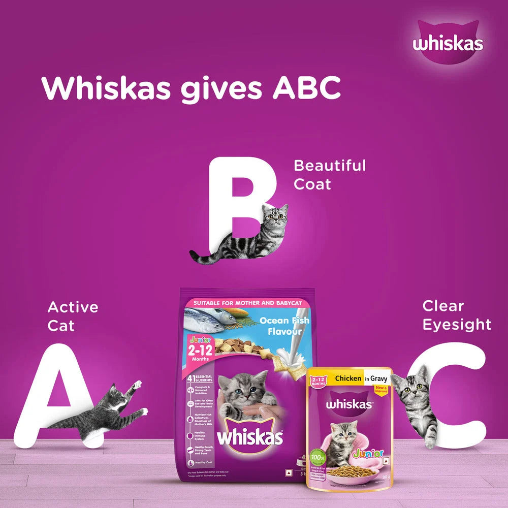 Whiskas Kitten Food in Jelly for Junior Cats
