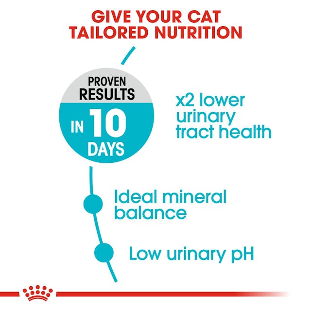 Omega-3 fatty acids cat food
