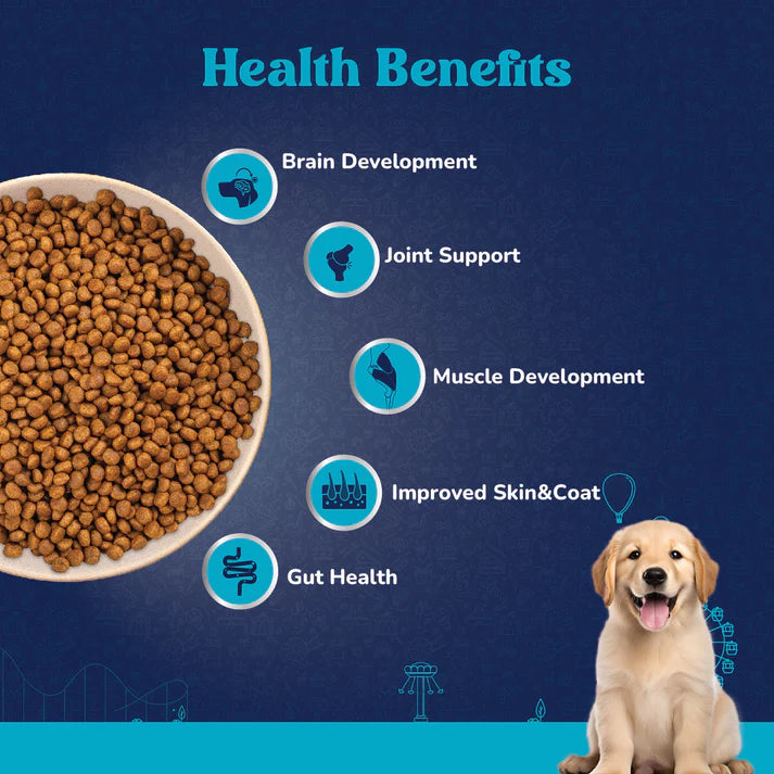 Dog food for large dogs
