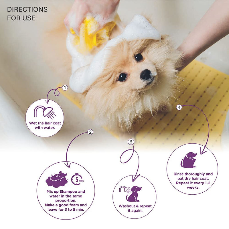 Lozalo Floral Pet Shampoo Effective Cleansing for Smelly Dogs and Cats (Orchid Fragrance)