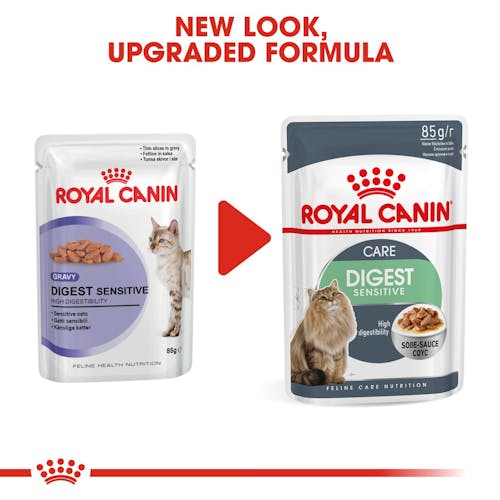 Royal Canin Digestive Sensitive Wet Cat Food in Gravy - Supports Sensitive Digestion