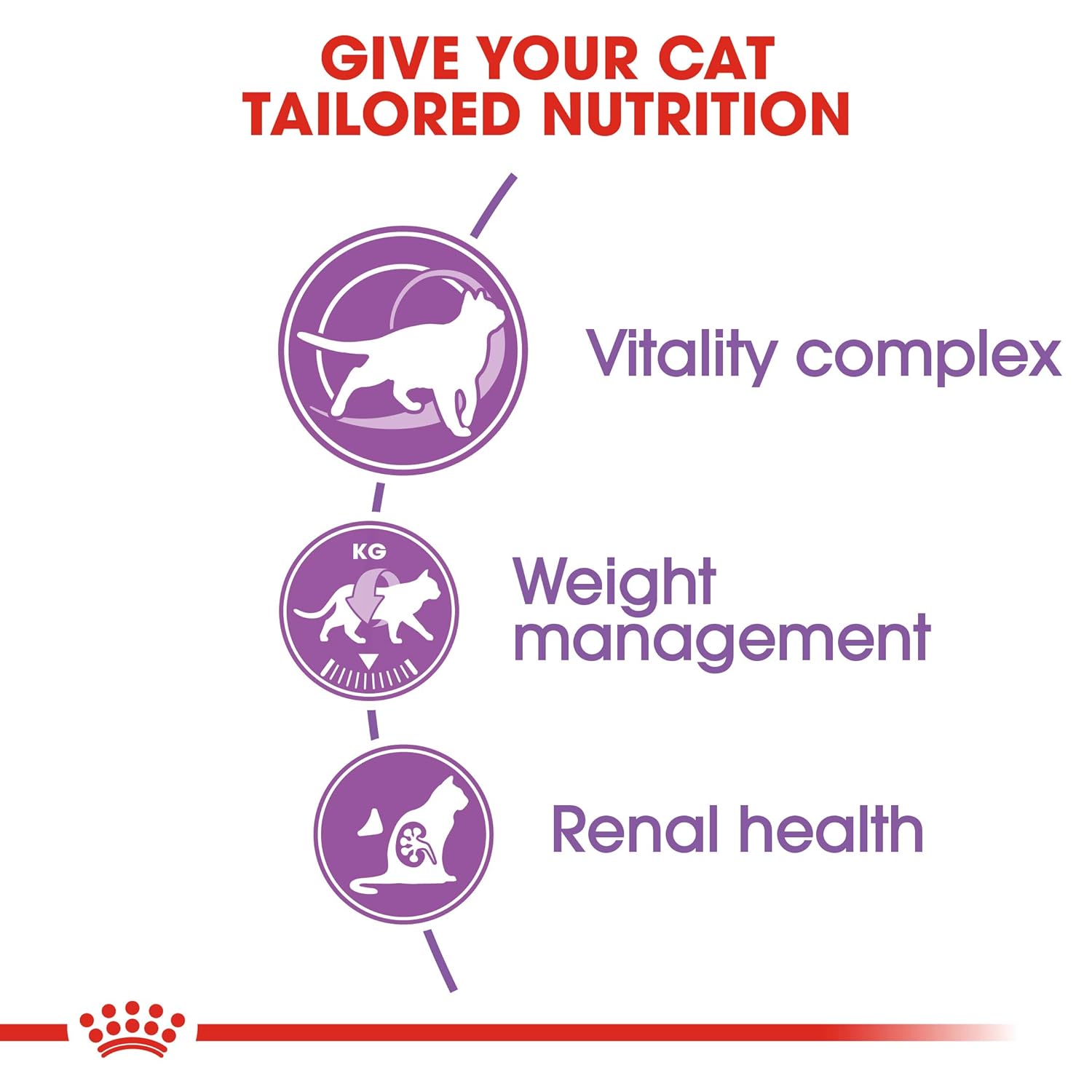 Mature cat benefiting from Royal Canin Sterilised 7+ Cat Food.