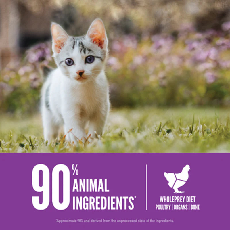 Orijen Biologically Appropriate Nutrition Dry Food For Kitten