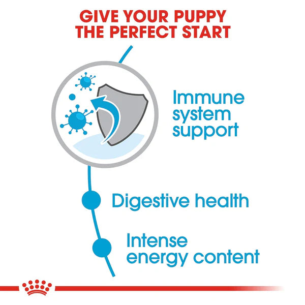 Premium Dry Food for Mini Puppies
