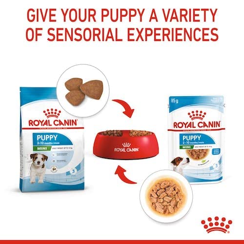 Soft puppy food with balanced nutrition
